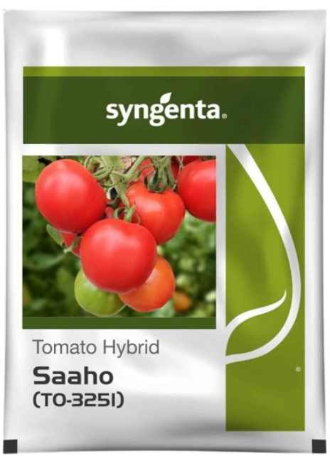 Tomato Seeds